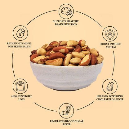 Exquisite Brazil Nuts